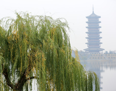 胶州少海风景