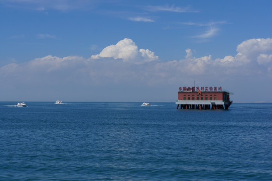 青海湖沙岛