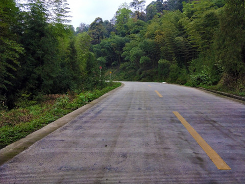 竹林山路