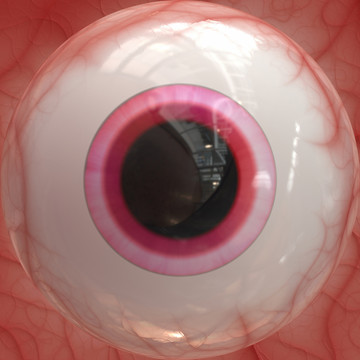 眼珠