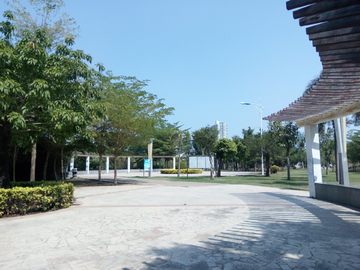 公园广场风景
