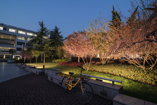 浙江大学紫金港校区