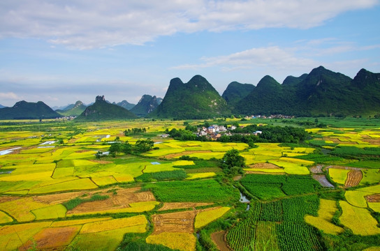 农业素材 美丽风景