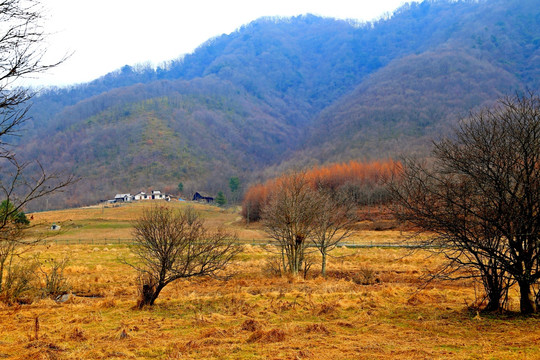 高山 湖泊 草甸