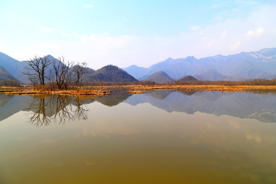 大九湖 湖光山影