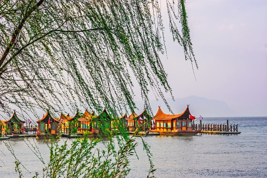 古滇湿地公园