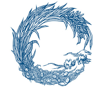 油莎果