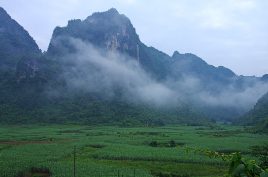 青山 云雾 风景