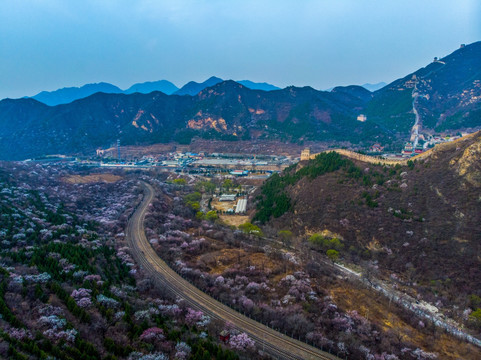 花海列车