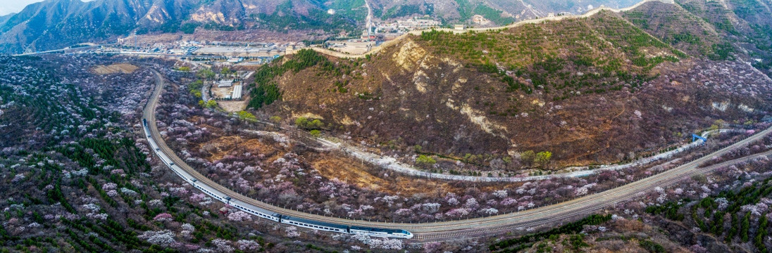 花海列车