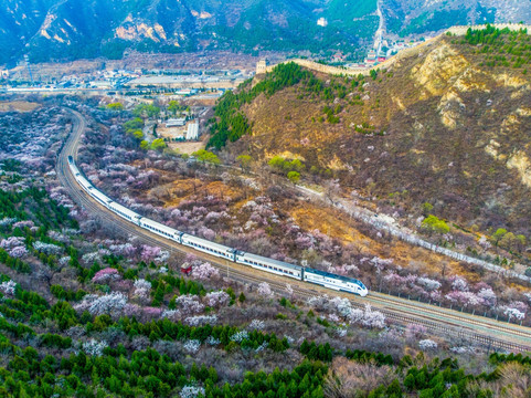 花海列车