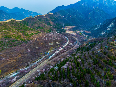 花海列车