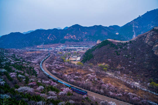 花海列车