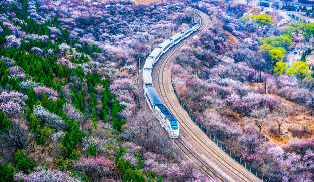 花海列车