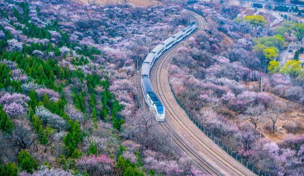 花海列车