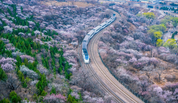 花海列车