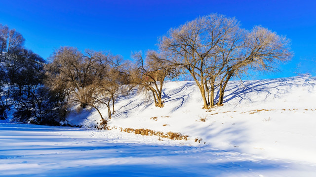 公主湖雪景