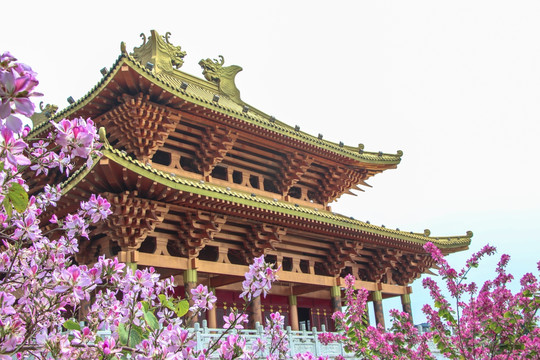 古代宫殿