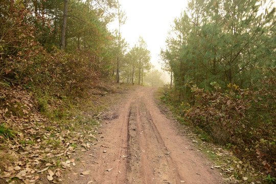 泥泞山路