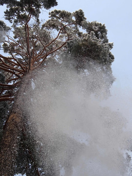 雪雾