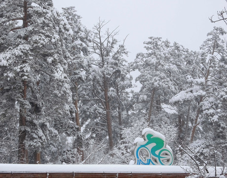 林海雪原