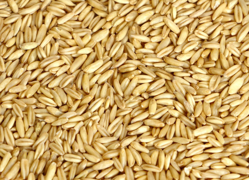燕麦米