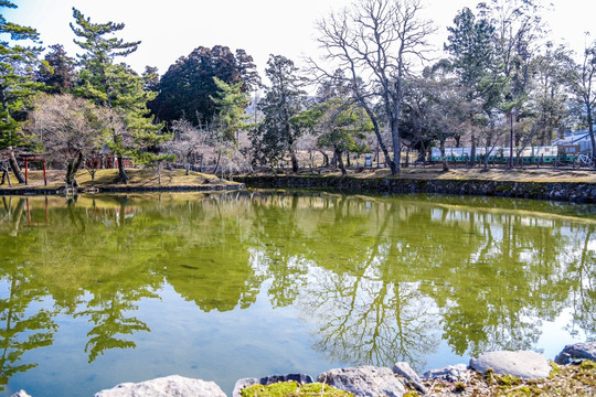 日本奈良寺庙公园