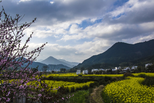 婺源江岭