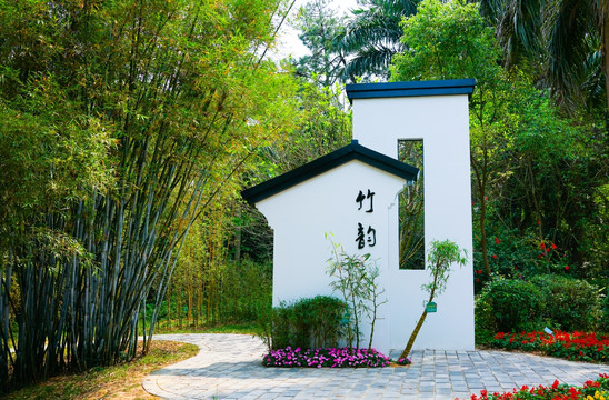 竹文化 竹韵 植物园