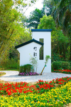 竹文化 竹韵 植物园