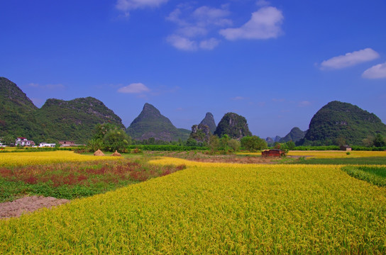 明亮田园风光