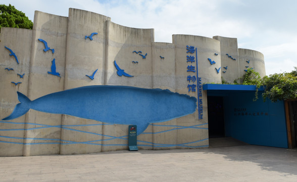 青岛海底世界海洋馆 浮雕艺术