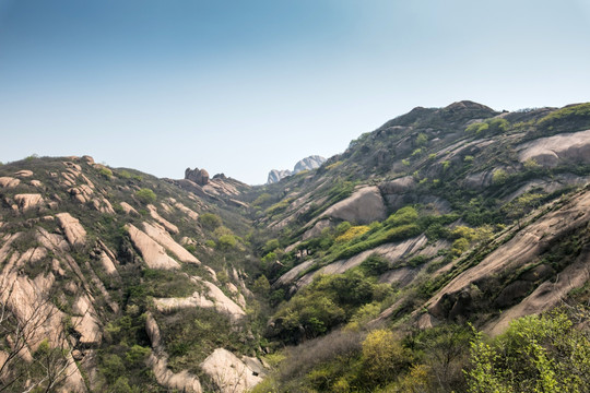 山林