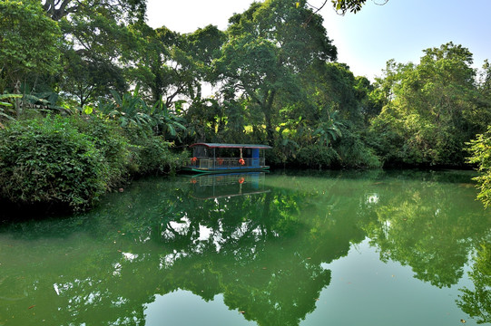 黑水河湿地