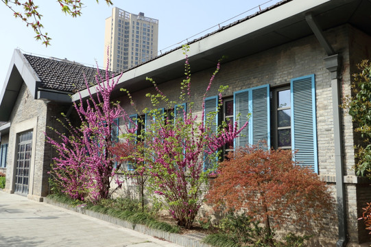 小镇风情