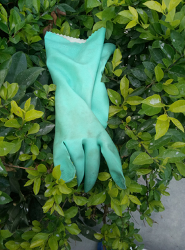 手套 胶手套 塑胶 塑胶垃圾