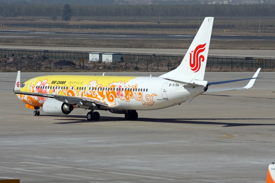 中国国际航空 彩绘飞机 黄牡丹