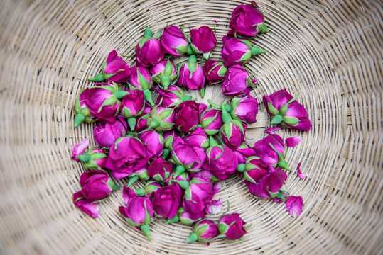 玫瑰花瓣