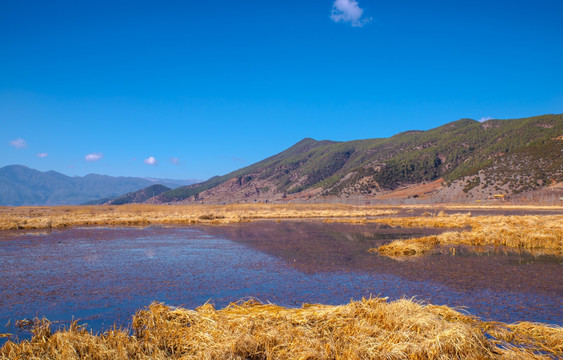 泸沽湖风光