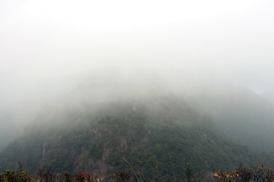 云雾缭绕 云雾 雾景
