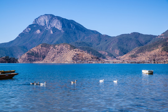 泸沽湖风光