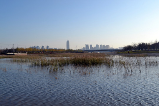 河景