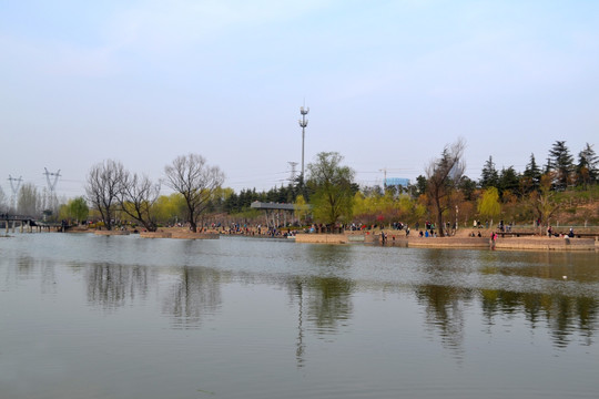 公园岸边