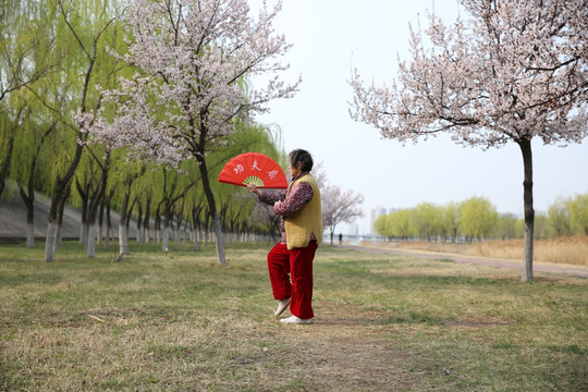 太极扇