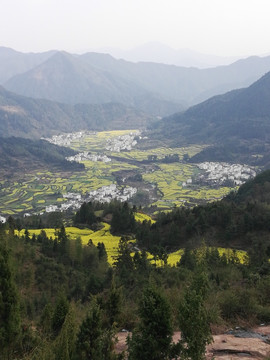 婺源风光 江岭春色