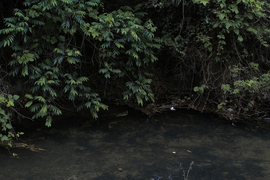 山间水渠