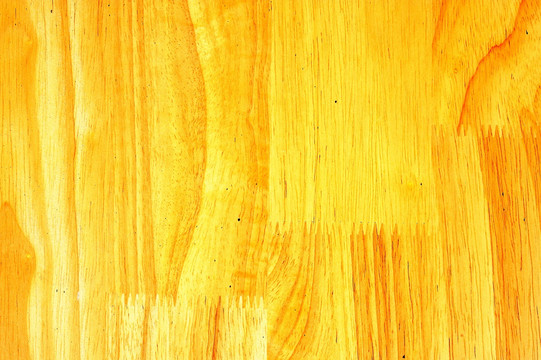 黄金木 木纹