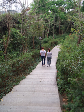 山间登山道