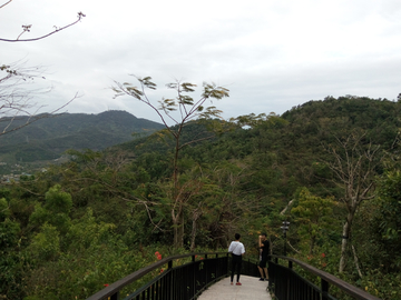 山间登山道