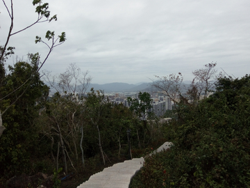 山间登山道